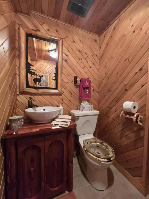 Bath - 433 Thompson Rd, Mio, MI 48647 photo 1 of 7