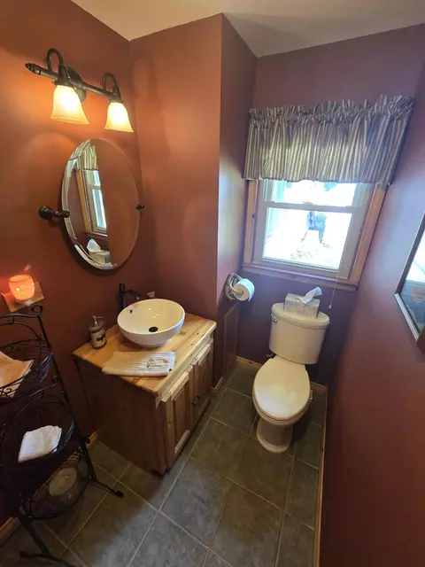 Bath - 433 Thompson Rd, Mio, MI 48647 photo 6 of 7