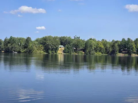 View/Area - 433 Thompson Rd, Mio, MI 48647 photo 17 of 20