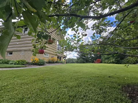 Exterior - 433 Thompson Rd, Mio, MI 48647 photo 18 of 38