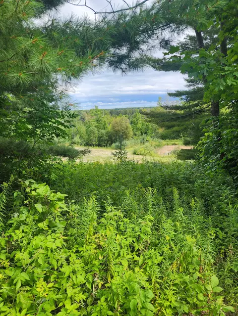 4270 E Black River Rd, Black River, MI 48721 photo 22