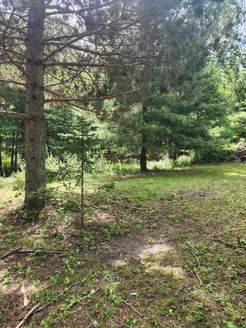 4270 E Black River Rd, Black River, MI 48721 photo 26