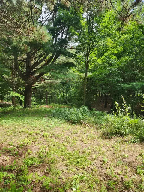 4270 E Black River Rd, Black River, MI 48721 photo 18