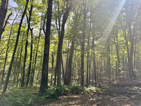 Parcel 1D Deklan Drive #17.42 ACRES, Mio, MI 48647