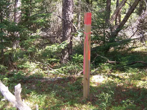 Other - 308 Ausable River Trl, Roscommon, MI 48653 photo 12 of 12