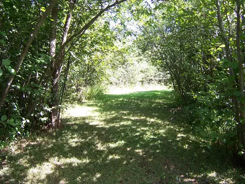 Exterior - 308 Ausable River Trl, Roscommon, MI 48653 photo 13 of 15