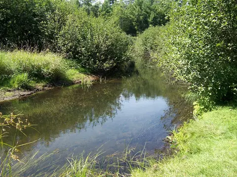 View/Area - 308 Ausable River Trl, Roscommon, MI 48653 photo 2 of 5