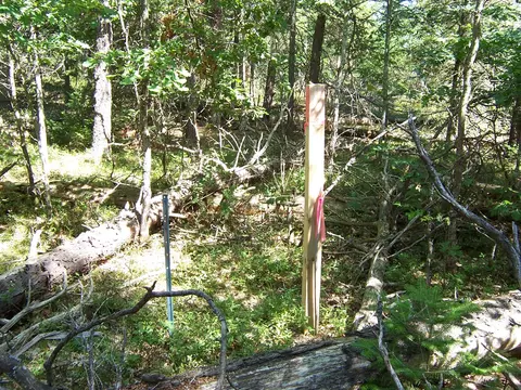 Other - 308 Ausable River Trl, Roscommon, MI 48653 photo 11 of 12