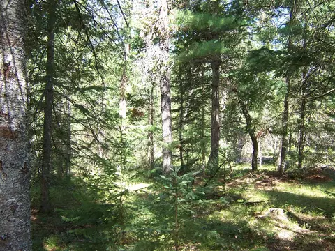 Exterior - 308 Ausable River Trl, Roscommon, MI 48653 photo 11 of 15