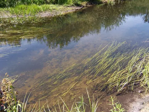 View/Area - 308 Ausable River Trl, Roscommon, MI 48653 photo 3 of 5