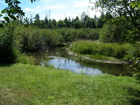 View/Area - 308 Ausable River Trl, Roscommon, MI 48653 photo 1 of 5