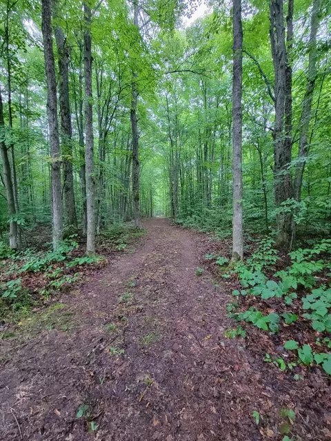 5 N Acres N Valley Rd, Frederic, MI 49733 photo 4