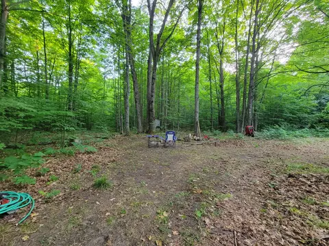 5 N Acres N Valley Rd, Frederic, MI 49733