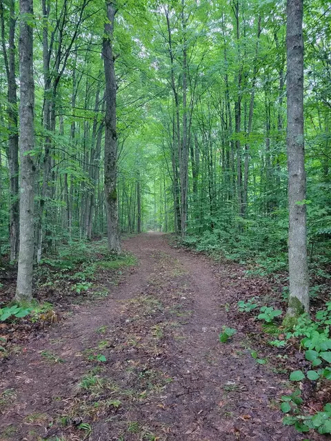 5 N Acres N Valley Rd, Frederic, MI 49733 photo 3