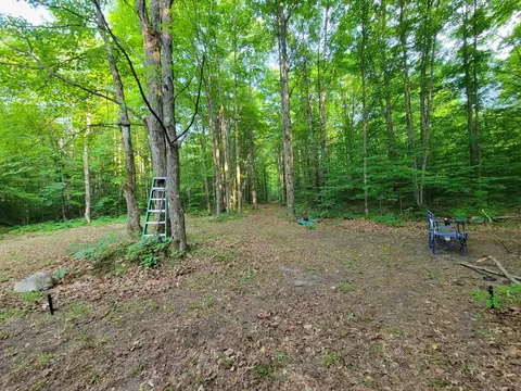 5 N Acres N Valley Rd, Frederic, MI 49733 photo 7