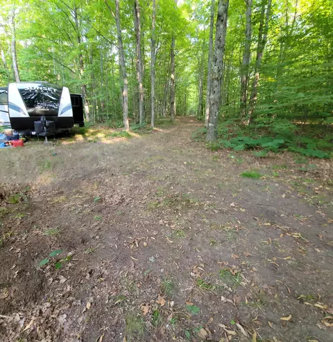 5 N Acres N Valley Rd, Frederic, MI 49733 photo 8