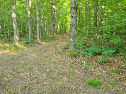 5 N Acres N Valley Rd, Frederic, MI 49733 photo 6