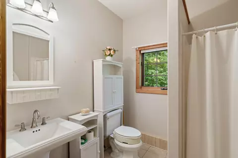 Bath - 9075 Brudy Rd, Wolverine, MI 49799 photo 6 of 6