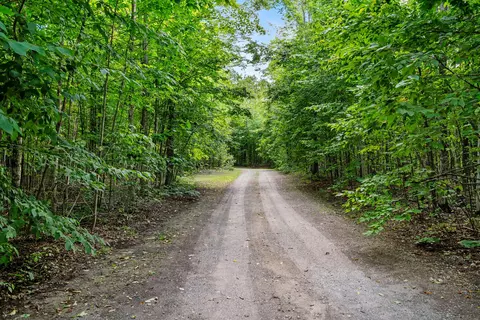 Other - 9075 Brudy Rd, Wolverine, MI 49799 photo 17 of 17