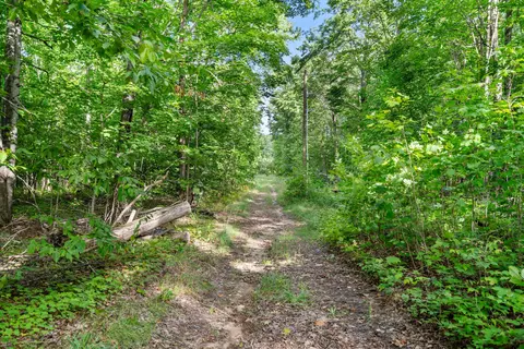 Other - 9075 Brudy Rd, Wolverine, MI 49799 photo 16 of 17