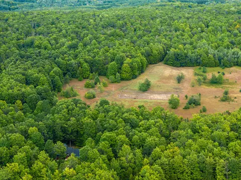 View/Area - 9075 Brudy Rd, Wolverine, MI 49799 photo 7 of 12
