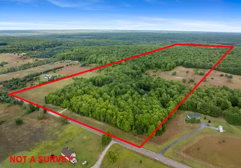 View/Area - 9075 Brudy Rd, Wolverine, MI 49799 photo 4 of 12
