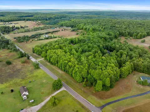 View/Area - 9075 Brudy Rd, Wolverine, MI 49799 photo 8 of 12