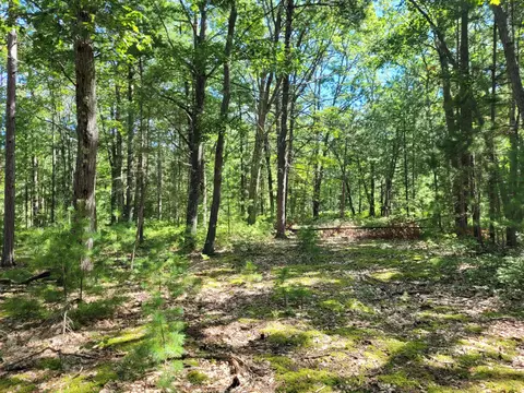 lot173 174 Clay Banks Rd, Rogers City, MI 49779