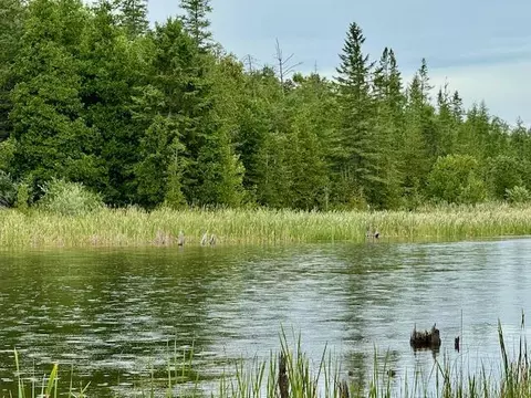 lot10 Mograin, Cheboygan, MI 49721