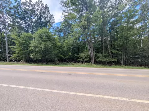 lot3 W Higgins Lake Dr, Roscommon, MI 48653