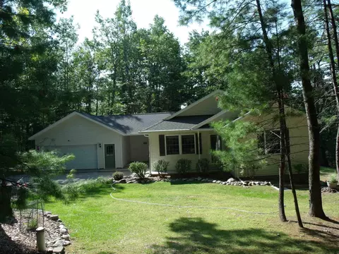 Exterior - 6655 Chippewa Trl, Indian River, MI 49749 photo 2 of 27