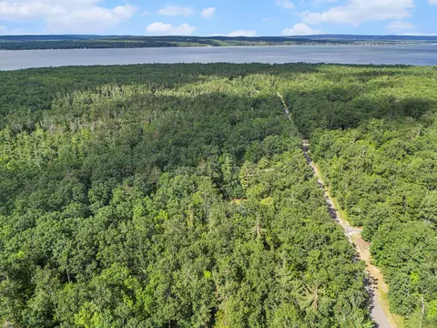 View/Area - 6655 Chippewa Trl, Indian River, MI 49749 photo 2 of 6