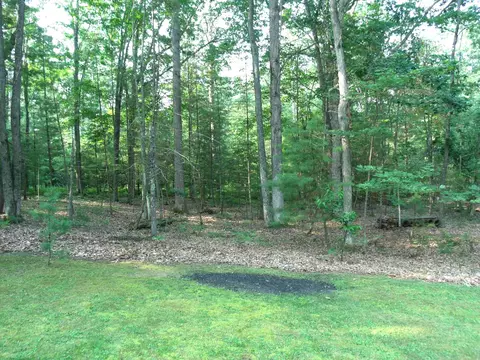 Exterior - 6655 Chippewa Trl, Indian River, MI 49749 photo 19 of 27