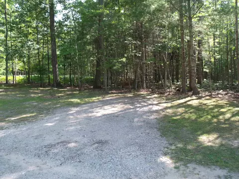 Exterior - 6655 Chippewa Trl, Indian River, MI 49749 photo 22 of 27