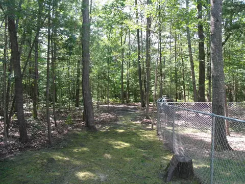 Exterior - 6655 Chippewa Trl, Indian River, MI 49749 photo 24 of 27