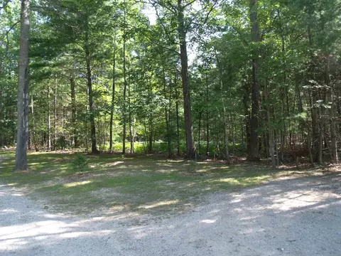 Exterior - 6655 Chippewa Trl, Indian River, MI 49749 photo 21 of 27