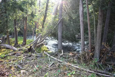 Parcel B S Straits Highway, Wolverine, MI 49799