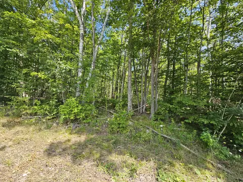 NHN Rayburn Highway #V/L 17.78 ACRES, Presque Isle, MI 49777