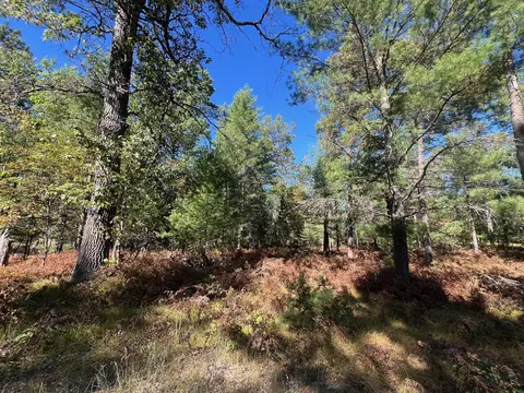 V/L L18-21 Monroe Avenue #S 18-21, Grayling, MI 49738 photo 7