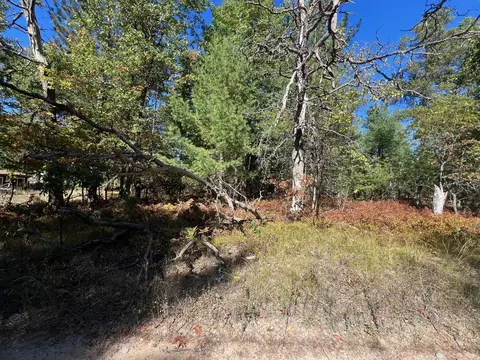 V/L L18-21 Monroe Avenue #S 18-21, Grayling, MI 49738 photo 8