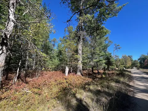 V/L L18-21 Monroe Avenue #S 18-21, Grayling, MI 49738