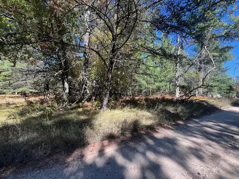 V/L L18-21 Monroe Avenue #S 18-21, Grayling, MI 49738 photo 5