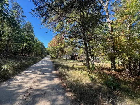 V/L L18-21 Monroe Avenue #S 18-21, Grayling, MI 49738 photo 6