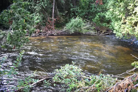 s straits highway, Wolverine, MI 49799