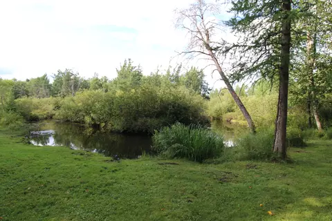 View/Area - 719 Wright Rd, Grayling, MI 49738 photo 3 of 3