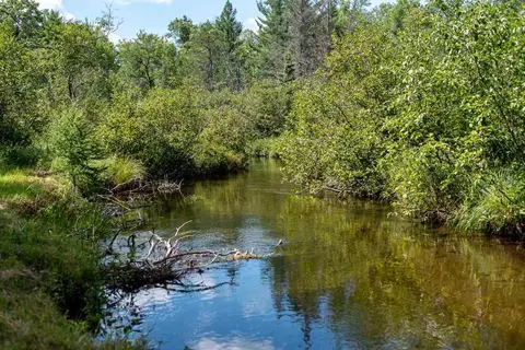 View/Area - 719 Wright Rd, Grayling, MI 49738 photo 1 of 3