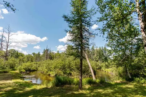 View/Area - 719 Wright Rd, Grayling, MI 49738 photo 2 of 3