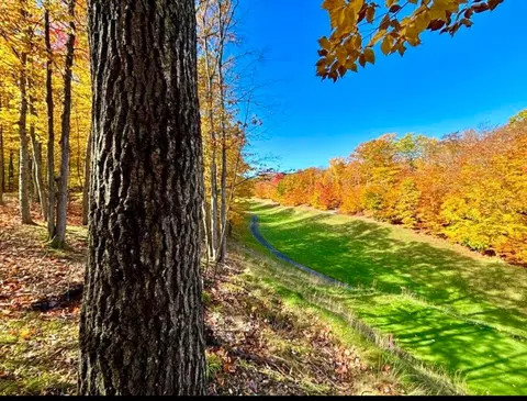 V/L Lot842 Porcupine Path #25AC, Gaylord, MI 49735