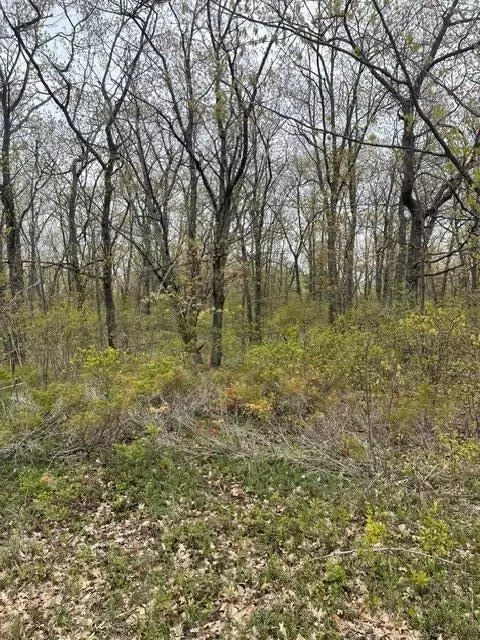 lot130 Highland Pines Rd, Presque Isle, MI 49777