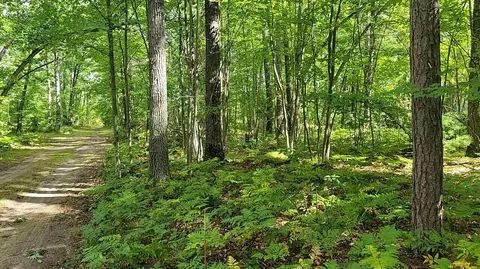 V/l 10ac Killeen Trail, Grayling, MI 49738
